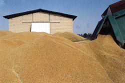 کشف 26 تن سویای تقلبی در مشهد