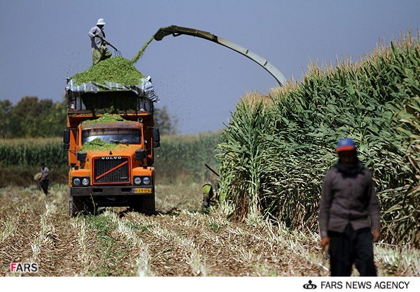 یارانه سوخت در بخش کشاورزی هم حذف شد