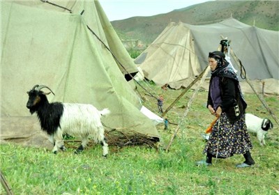 اجراي طرح زنجیره تولیدگوشت قرمز درجامعه عشایری
