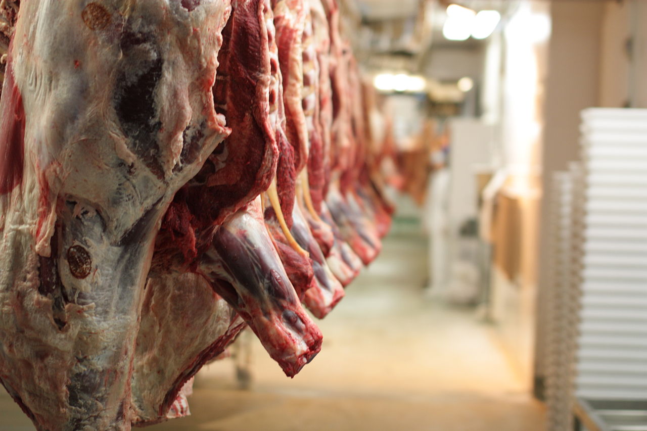 افزایش 50 درصدي قیمت گوشت از دامداری تا قصابی‌