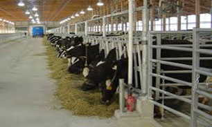 ابلاغ دستورالعمل تاسيس تشكلها و مراكز خدمات دامپروري غيردولتي