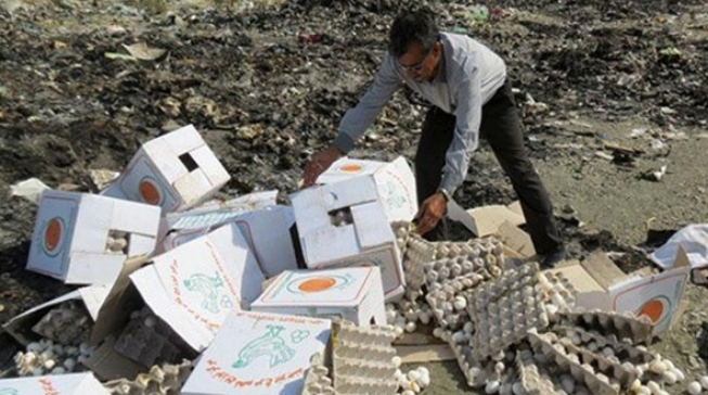 كشف مكان غيرمجاز نگهداري و پرينت تقلبي تخم مرغ در تهران