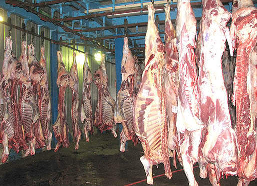 ساخت نانوحسگري براي تشخيص گوشت فاسد