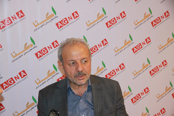 اجراي موفق پرورش ماهي در قفس با قفس هاي ايراني براي اولين بار در كشور