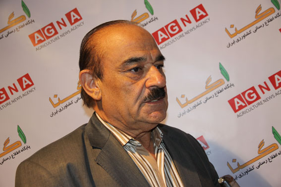 قاچاق 60 هزار رأس گوساله به تركيه