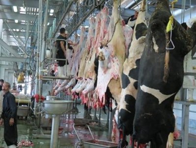 تعطيلي كشتارگاه هاي سنتي