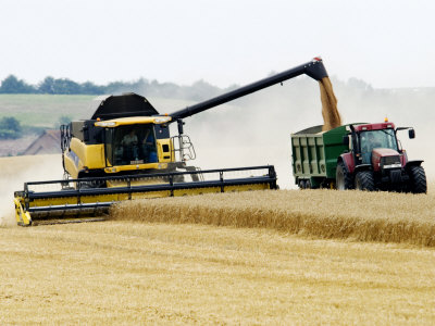 پيش بيني وزارت کشاورزی آمریکا از كشاورزي ايران