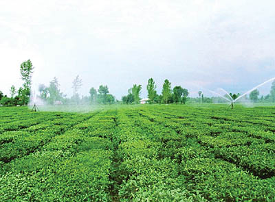 کشورهای پیشرفته چگونه از کشاورزان حمایت میکنند؟