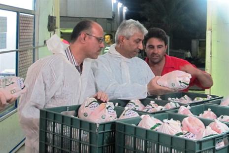 اجرای طرح ردیابی تولید گوشت مرغ از مزرعه تا سفره