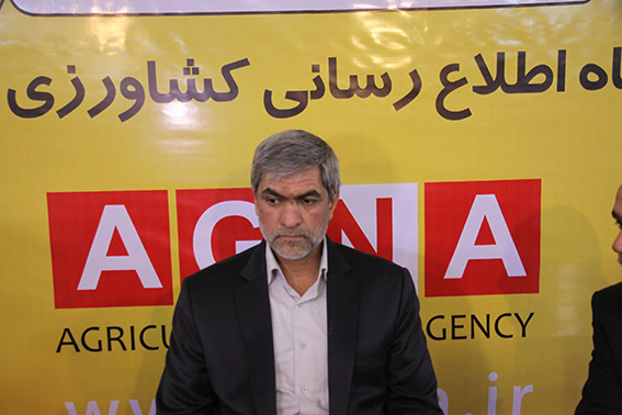 برنامه‌ریزی برای صادرات 100 هزار تن گوشت مرغ