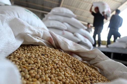 افزایش قیمت سویا در بازار جهانی به خاطر رشد خرید چین