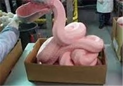 واکنش تند عراقی‌ها به «غذای سگ و گربه خواندن خمیرمرغ»