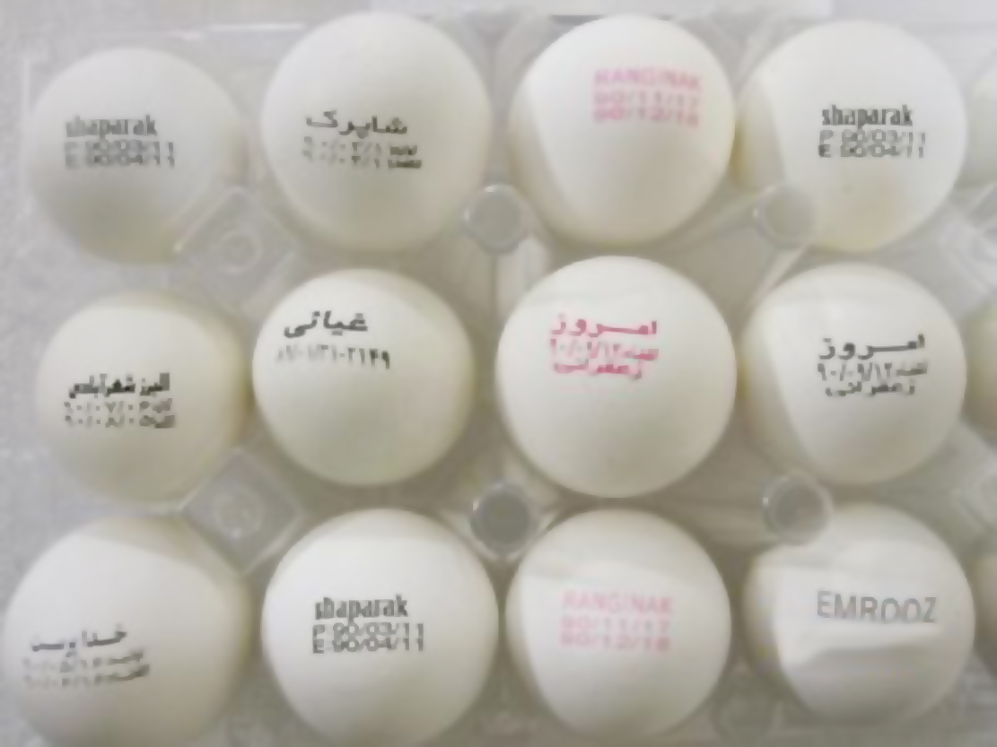 تنها خرده فروشان از حک قیمت بر روی تخم‌مرغ نفع می‌برند