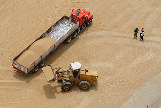 ایران ۶۰ هزار تن گندم از آلمان خرید