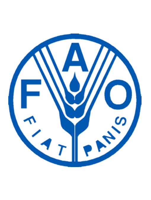 اختلاف ۲٫۷ میلیون تنی در آمار فائو و وزارتخانه