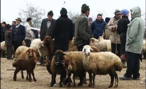 ۸۱۸۳۰۸۴۷-۷۰۲۸۸۶۲۰