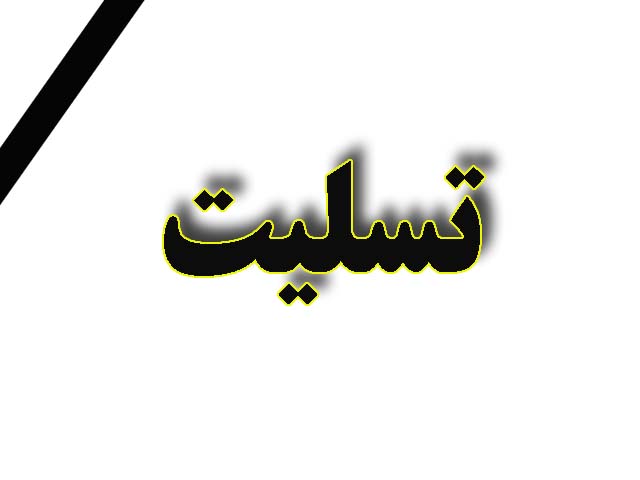 پیام مدیر عامل شرکت سرمایه گذاری کشاورزی کوثر به مناسبت شهادت سردار صارم طهماسبی آزاده