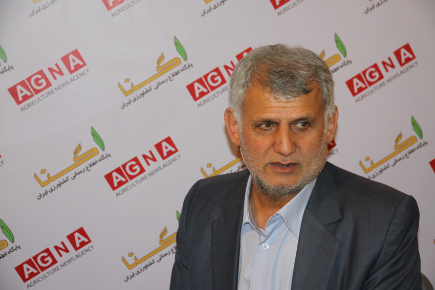 بخشی از زنجیره تولید مرغ ماهانه ۱۰۰ میلیارد تومان سود بادآورده به چنگ می آورد/ معاونت امور دام در این زمینه ورود کند