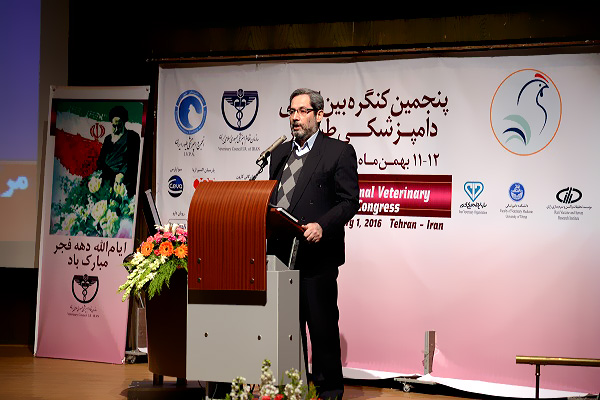 تولید گوشت طیور در کشور ۳۰ است اما ۳۱۰ رقم تا ایده آل تفاوت دارد