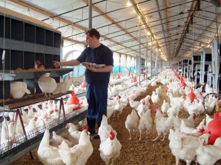 صادرات ۲۲ هزار تن فرآورده خام دامی از استان تهران