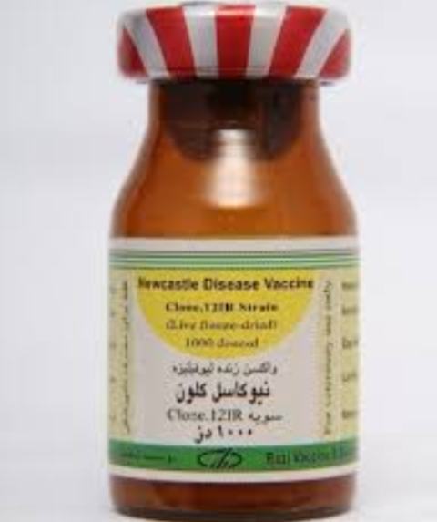 تازه ترین واکسن های طیور موسسه رازی معرفی شدند