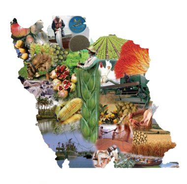 رشد ۱۵/۴ درصدی شاخص های کشاورزی در دولت یازدهم