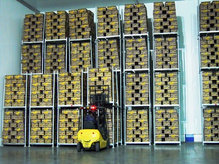 ایجاد بورس غیر رسمی برای فروش آنلاین محصولات کشاورزی در استان البرز / ظرفیت ۱۷۰ هزار تنی سردخانه ای دراستان