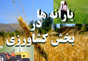 پرداخت یارانه های بخش کشاورزی نیازمند بررسی و برنامه ریزی دقیقی است