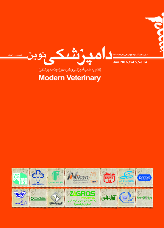 شماره چهاردهم نشریه دامپزشکی نوین منتشر شد