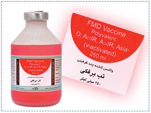 تحویل ۶ میلیون دز واکسن تب برفکی از موسسه رازی به سازمان دامپزشکی/ بیماری کنترل شد