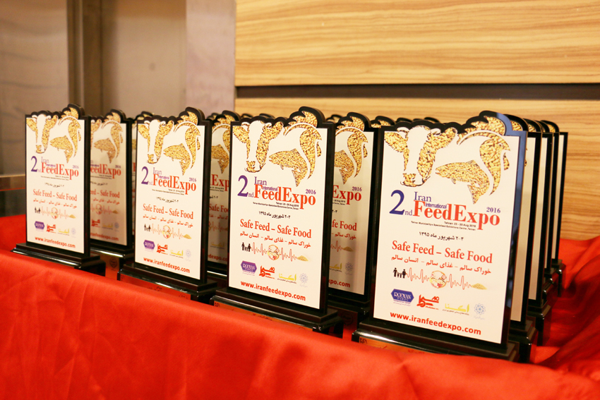 تقدیر از برترین های فیداکسپو