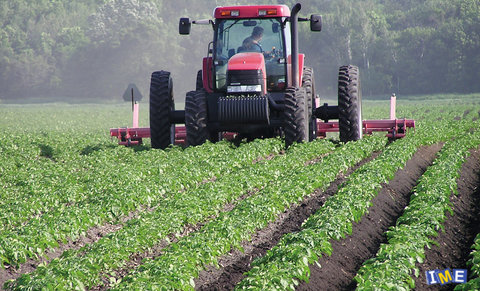 تغییر در بازار جهانی محصولات کشاورزی