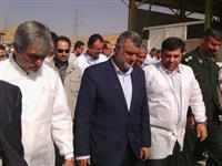 حجتی: ورود نژاد گاو سیمنتال مشکل کمبود شیر و گوشت را رفع می کند