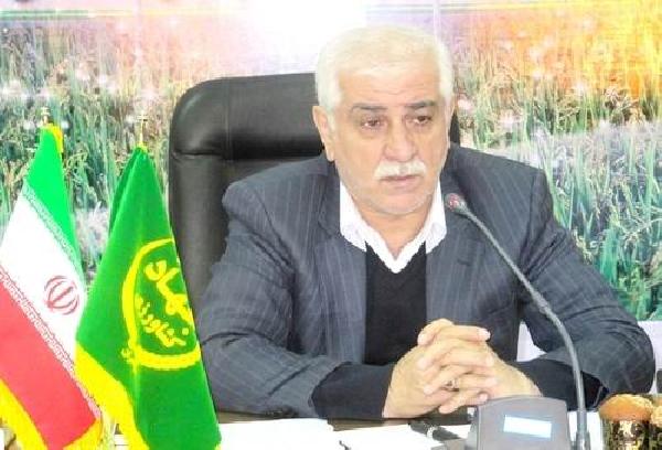 مردم تمایلی به استفاده از برنج های خارجی ندارند/ زمینه صادرات مرکبات در بازارهای جهانی فراهم شد