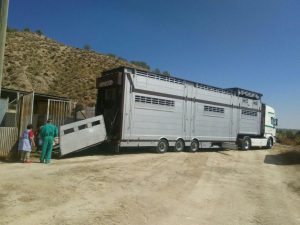 photo_2016-11-14_22-46-18