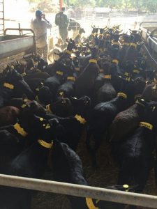 photo_2016-11-14_22-46-25