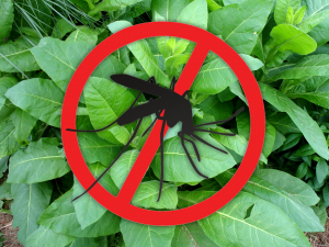 %d8%aa%d8%b1%d8%a7%d8%b1%db%8c%d8%ae%d8%aa