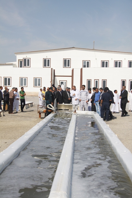 ظرفیت آبزی پروری باید به ۲۰۰ هزار تن افزایش یابد