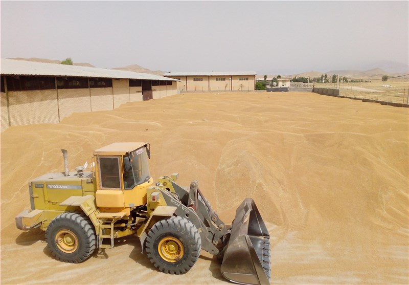 ایران ۱۳۰ هزار تن جو از اروپا خرید