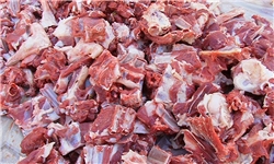 عرضه گوشت تازه گوسفندی در ۵ نمایشگاه بهاره و فروشگاه‌های زنجیره‌ای/ قیمت کیلویی ۳۱۵۰۰ تومان