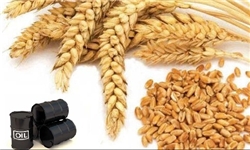 تجارت ۲ هزار میلیارد دلاری غذای حلال