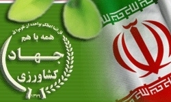 افزایش ۲۵ درصدی اعتبارات ملی بخش کشاورزی در لایحه بودجه ۱۳۹۶