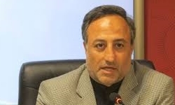 صدور شانزدهمین مجوز استاندارد حلال برای کشتارگا‌ه‌های مرغ کشور در بوشهر