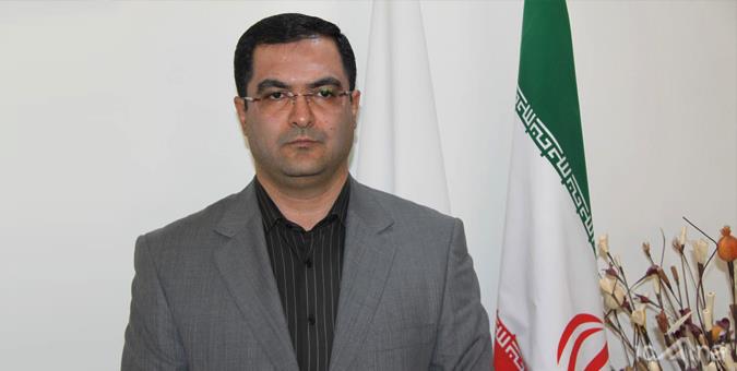 صادرات فرآورده های مرغی راهکار بهبود وضعیت مرغدارها