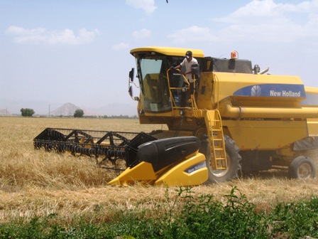 سرمایه گذاری ۶هزارمیلیاردریالی دولت در بخش مکانیزاسیون برنج