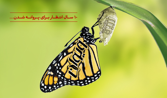 جشن پروانگی ویوان/ پس از ۱۰ سال زرین خاک قاین پروانه شد