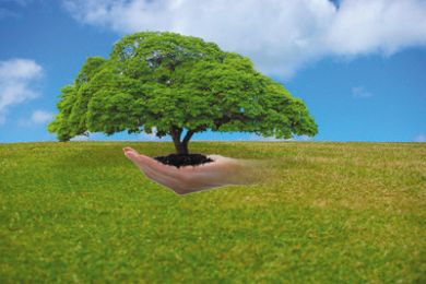 توسعه دیپلماسی منابع طبیعی و محیط زیستی ایران با اجرای طرح شبیه سازی سازمان ملل متحد در مدارس