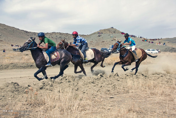 تلاش برای پرورش نژادهای اصیل اسب ایرانی