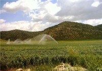تجهیز ۴ میلیون هکتار به سامانه های آبیاری مدرن تا ۱۰ سال آینده