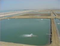 ساخت حوضچه های پرورش ماهی و میگو در سواحل خوزستان